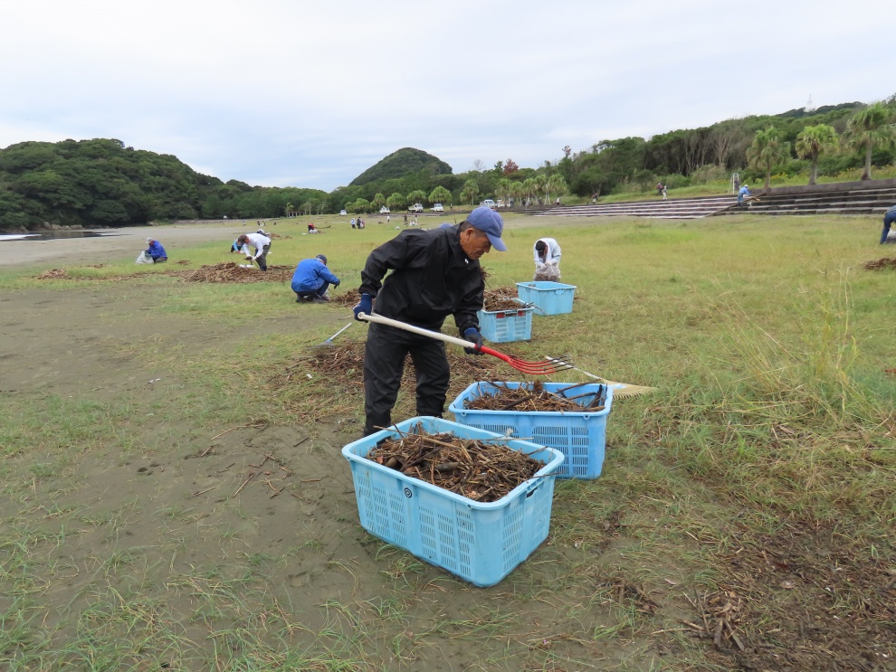 海岸ごみ拾い
