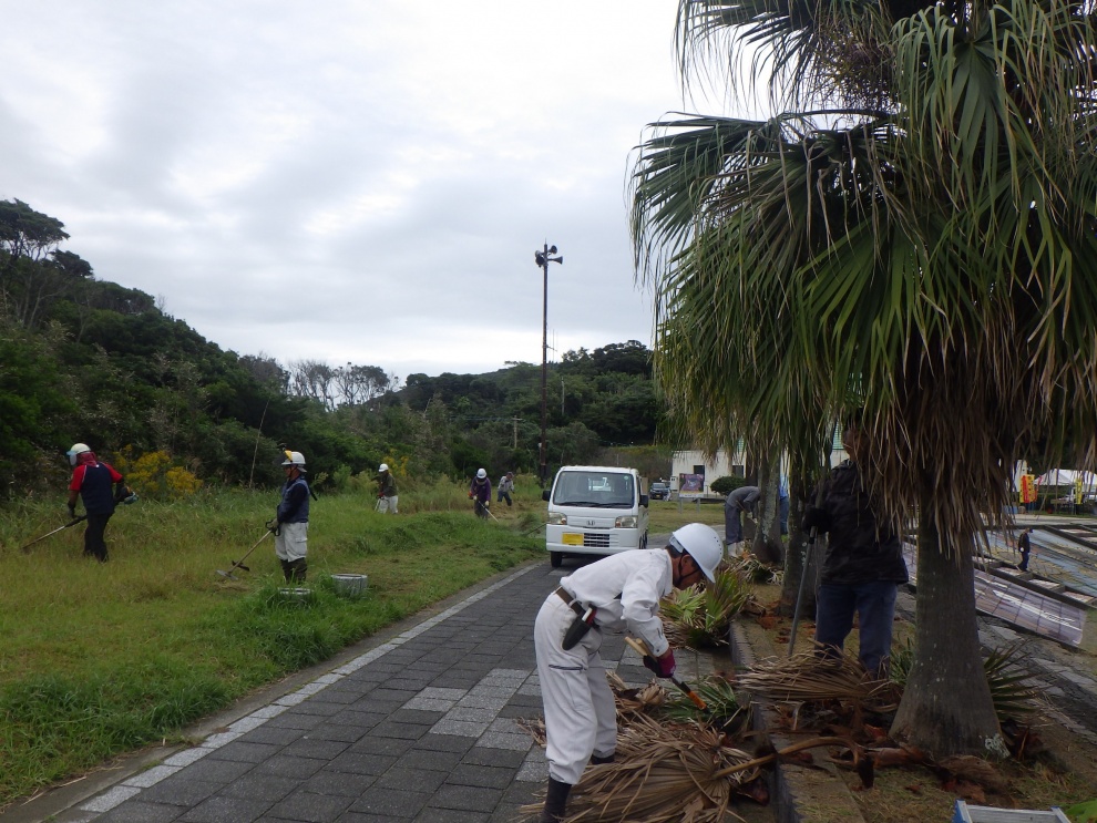 海岸線草刈等